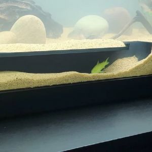 Grotte d'aquarium grotte cach&eacute;e souterraine d'aquarium pour animaux aquatiques pour la race, jouer