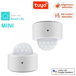 Tuya 2 en 1 Zigbee Mini détecteur de mouvement PIR + lumière Lux brillante capteur d'alarme antivol