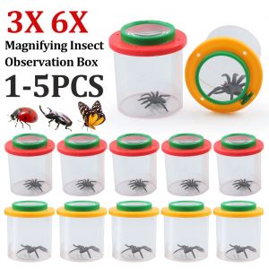 Loupe à domicile pour enfants, boîte d'observation d'insectes araignées, loupe 3X 6X, boîte à