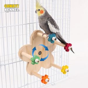 Jouet de grande roue pour perroquets en bois avec perchoirs, jouet pour oiseaux de grande roue