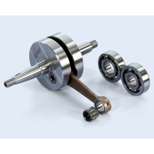 Vilebrequin Polini 1149612