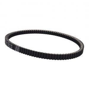 Courroie de transmission Bike It