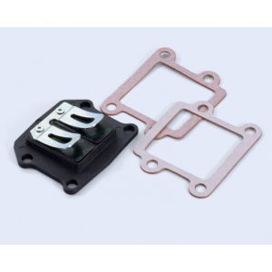 Clapets carbone Polini