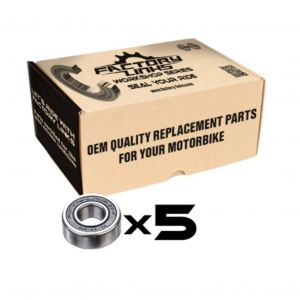 Roulement Factory Links Pack atelier 60/22 2RS Boite de 5