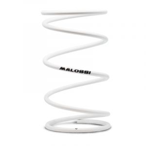 Ressort de poussée Malossi renforcé