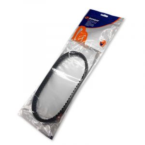 Courroie de transmission Tecnium standard