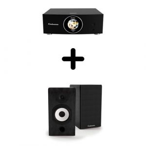 Un Ampli Cabasse AMP 240S + une paire d'enceintes biblioth&egrave;que Cabasse Antigua MT32/2