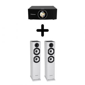 Un Ampli Cabasse AMP 240S + une paire d'enceintes colonne Cabasse Jersey MT32/2