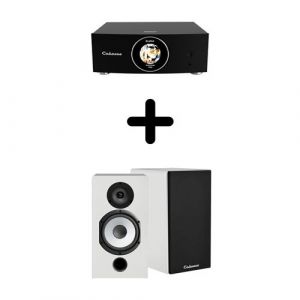 Un Ampli Cabasse AMP 240S + une paire d'enceintes biblioth&egrave;que Cabasse Antigua MT32/2