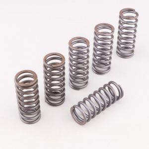 Ressorts d'embrayage renforcés Gas Gas MC, EC 250 (1997 - 2017), Honda CR 250 R (1990 - 1996), Yamaha R1 (2007 - 2010)... ProX