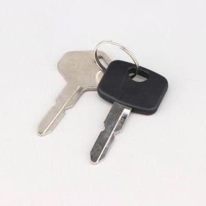 Cl&eacute;s pour contacteur de tracteur tondeuse Alpina AT1 66, Stiga Estate 2084, Castelgarden SD98... (lot de 2)