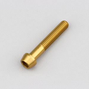 Vis 6x35 mm t&ecirc;te BTR conique Evotech dor&eacute;e (&agrave; l'unit&eacute;)