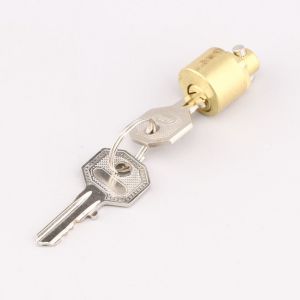 Antivol remorque pour t&ecirc;te d'attelage frein&eacute;e (EM 130)