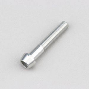 Vis 6x35 mm t&ecirc;te BTR conique Evotech grise (&agrave; l'unit&eacute;)