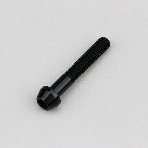 Vis 5x30 mm t&ecirc;te BTR conique Evotech noire (&agrave; l'unit&eacute;)