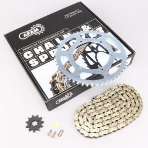 Kit cha&icirc;ne 11/53 Derbi Senda, Gilera SMT... (2011 - 2017) Afam (d&eacute;multiplication origine)