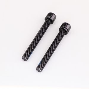 Vis d'étrier de frein Flatmount Ø5x43 mm vélo Elvedes (lot de 2)