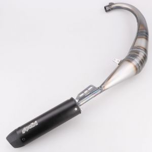 Pot d'&eacute;chappement AM6 Minarelli, Derbi Polini Evolution 2