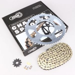 Kit cha&icirc;ne 11/59 Derbi Senda, Gilera SMT... (depuis 2018) Afam (d&eacute;multiplication origine)