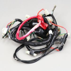 Faisceau électrique Sym Wolf 125 SB (2011 - 2017)