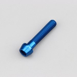 Vis 6x30 mm t&ecirc;te BTR conique Evotech bleue (&agrave; l'unit&eacute;)