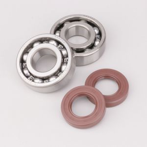 Roulements et joints spi de vilebrequin Derbi Polini For Race