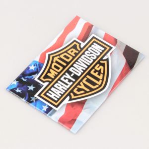 Magnet Harley Davidson USA 6x8 cm