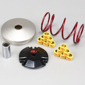 Variateur Peugeot vertical et horizontal Speedfight, Ludix... Metrakit