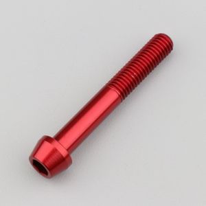 Vis 8x55 mm tête BTR conique Evotech rouge (à l'unité)