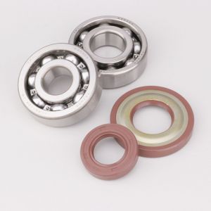 Roulements et joints spi de vilebrequin Vespa PK 50, 125, Primavera ET3 125... Polini (joint &Oslash;19 mm)