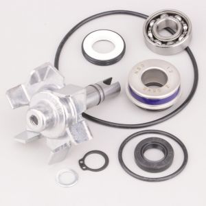 Pompe &agrave; eau Yamaha Tmax 500 Buzzetti (kit de r&eacute;paration)