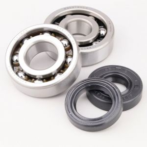 Roulements et joints spi de vilebrequin AM6 Minarelli TPI TVH C4 (pour vilebrequin soies &Oslash;20/17 mm)