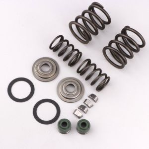 Ressorts de soupapes moteur 1P60FMJ YX 150, 160 4T