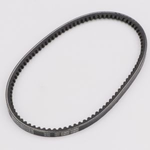 Courroie de scarificateur Pubert Cesar 40 B, 50 S 9.7x650 mm