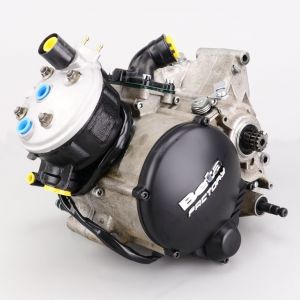 Moteur AM6 E2 Beta Factory 12 bobines reconditionn&eacute; &agrave; neuf (&eacute;change standard)
