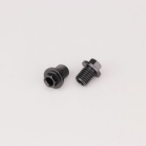 Vis de raccordement de durite de frein v&eacute;lo type Shimano Elvedes (lot de 2)