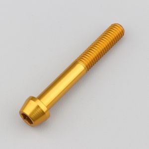 Vis 8x55 mm tête BTR conique Evotech dorée (à l'unité)