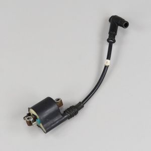 Bobine d'allumage Honda Forza 125 (2015 - 2021)