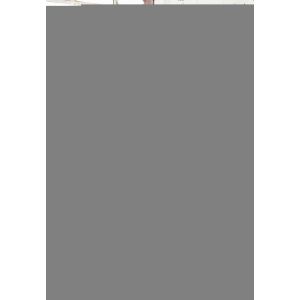 Pantalon grossesse chino bandeau coton bio - NEO SEAMLESS