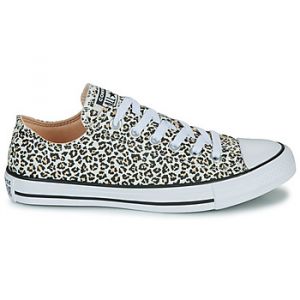 Baskets basses Converse CHUCK TAYLOR ALL STAR Multicolore - Taille 36,37,35