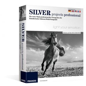 Professionnel des projets Silver Windows