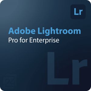 Adobe Lightroom - Pro for Enterprise 1 - 9 Utilisateur(s)