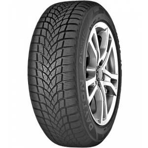 Dayton 205/50r17 93v