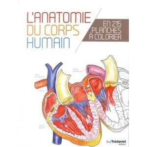 L'anatomie du corps humain en 25 planches à colorier (Broché)