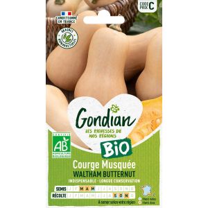 Courge Musquée Waltham Butternut Bio Gondian