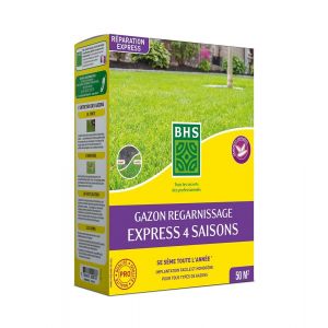 Gazon regarnissage 4 saisons 1kg