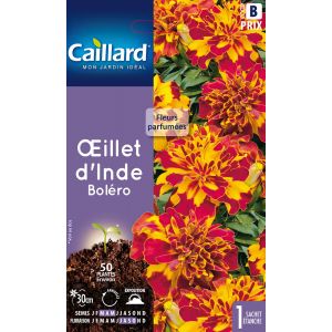 OEILLET D'INDE BOLERO