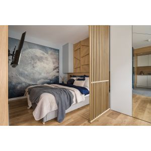 cloison Claustra Ratio brute en kit