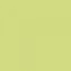 Vert Anis Vert Anis-Peinture murale acrylique aspect mat Aqua Déco - 750 ml