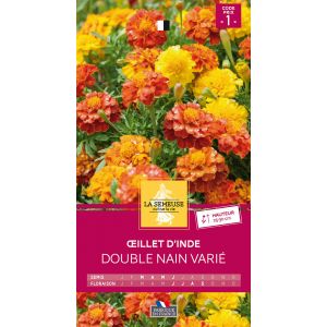 Oeillet d'Inde double nain varié